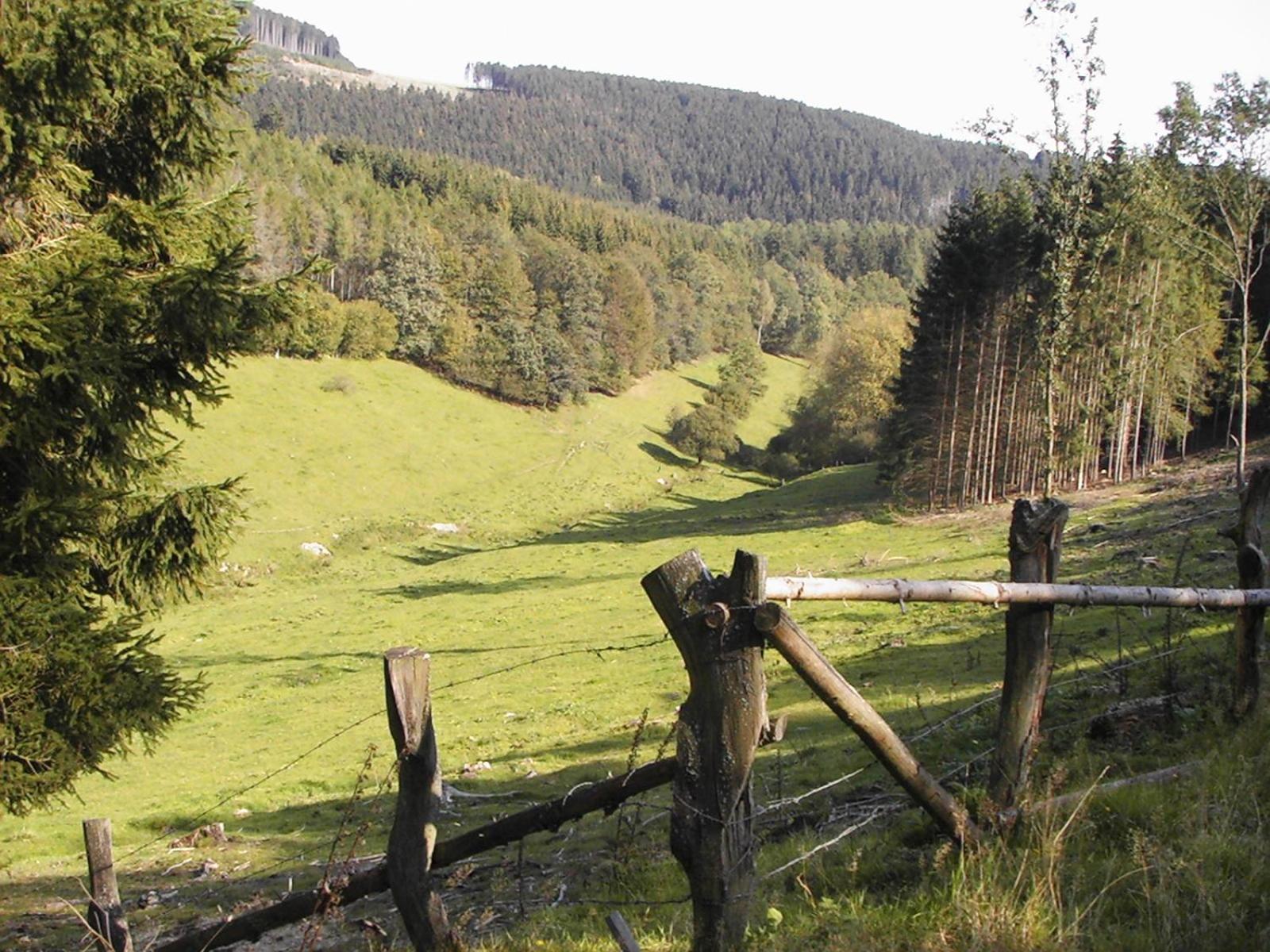 Sonneneck Hotell Winterberg Eksteriør bilde